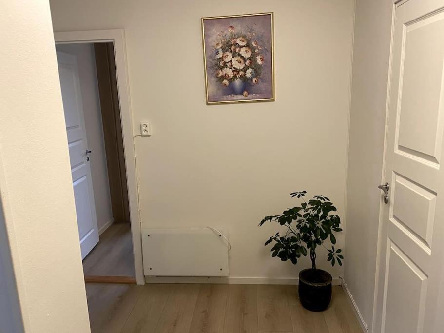 Lovely 2 Bedroom Apartmen With Free Parking Bergen Zewnętrze zdjęcie